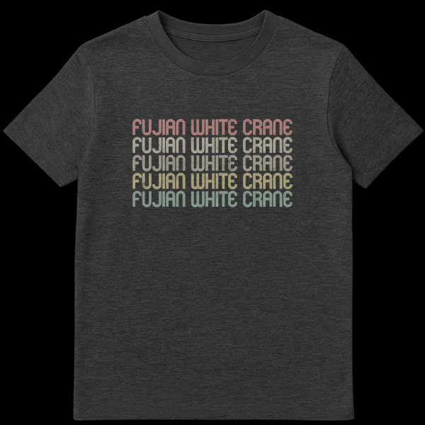 Fujian White Crane Kung Fu T-Shirt with retro 70s/80s striped text in stacked, faded colors on Dark Heather t-shirt
